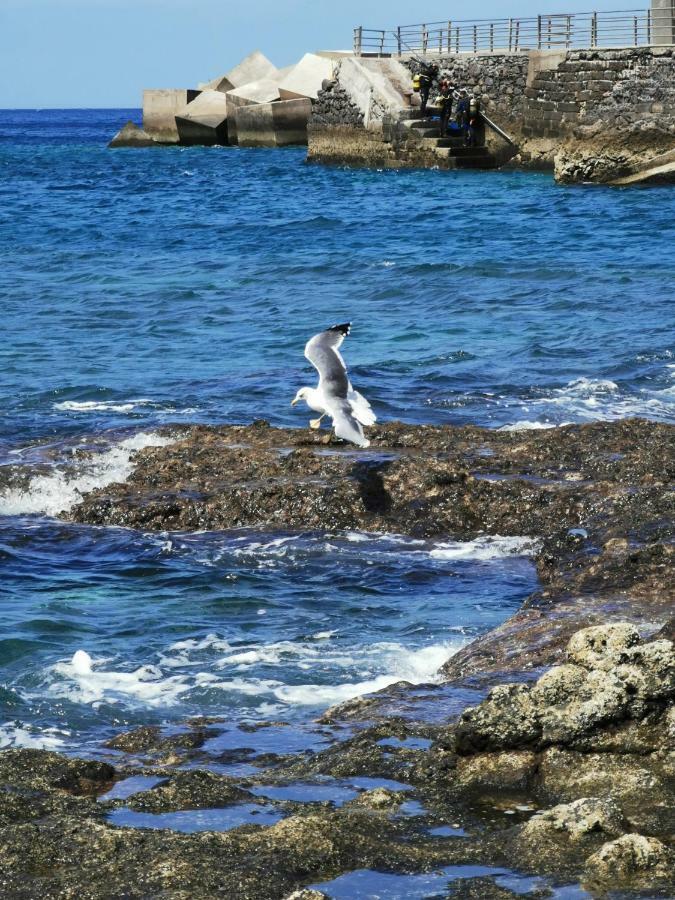 Teresa Apartment Sardina Gran Canaria 外观 照片